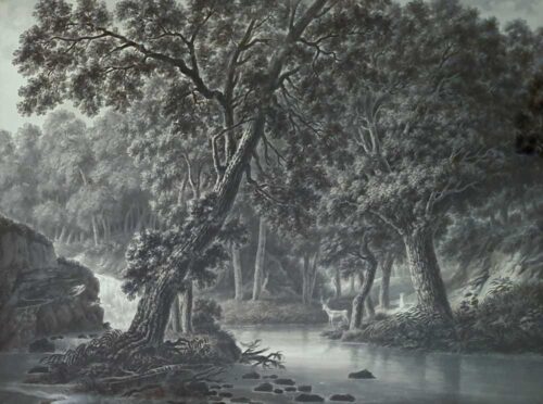 oeuvre de fleury epinat - cerfs dans un sous-bois au bord de la rivière - crayon noir sur papier