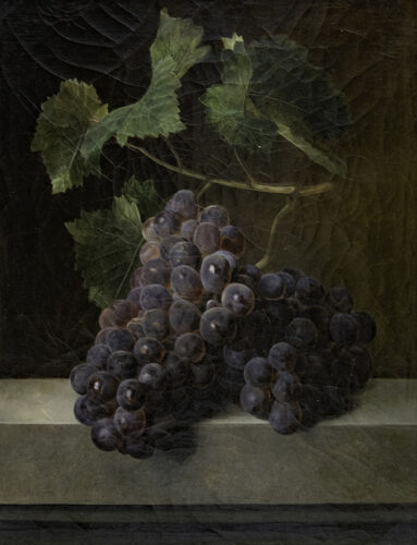 oeuvre de antoine berjon - étude d’une grappe de raisins - huile sur toile