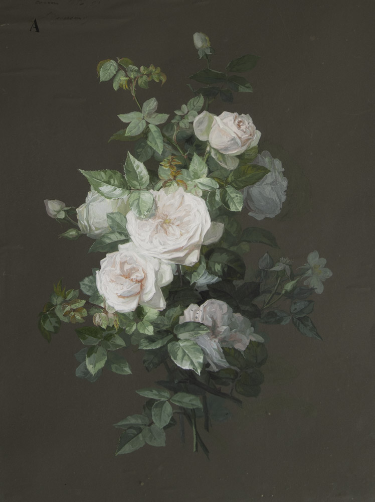 cole Lyonnaise Biographie Et uvres Tomaselli Collection cole Lyonnaise Biographie Et uvres Tomaselli Collection