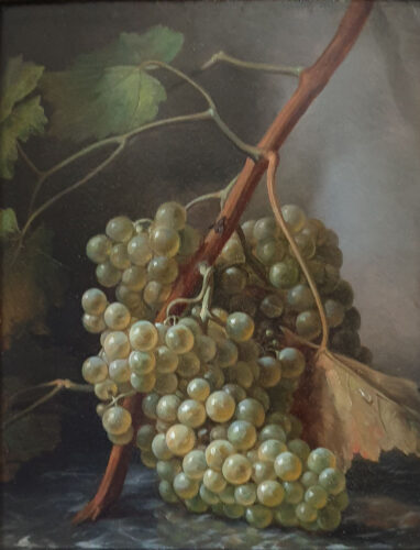oeuvre de anonyme - raisin - huile sur panneau