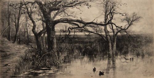 oeuvre de adolphe appian - canards sur l’étang - eau forte sur papier
