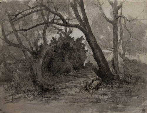 oeuvre de adolphe appian - étude d’arbres sous-bois - fusain sur papier