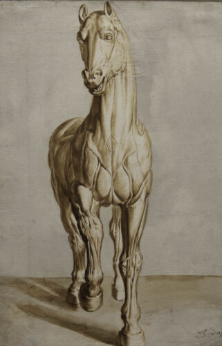 oeuvre de antoine berjon - étude de cheval écorché - plume et encre noire et brune, lavis brun et noir sur papier