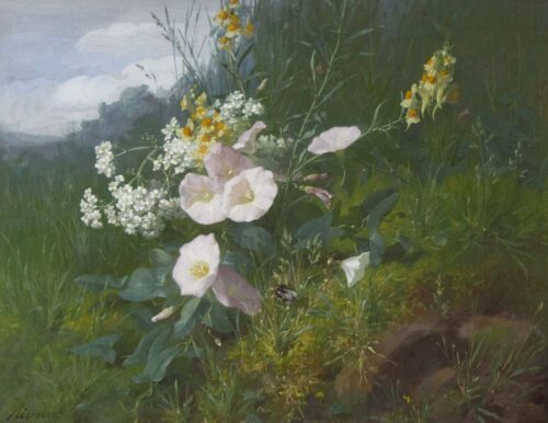 oeuvre de françois rivoire - fleurs des champs dans un paysage - gouache sur papier