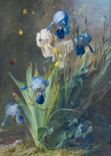 oeuvre de françois rivoire - les iris - gouache sur papier